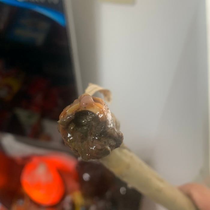 排水管堵塞
