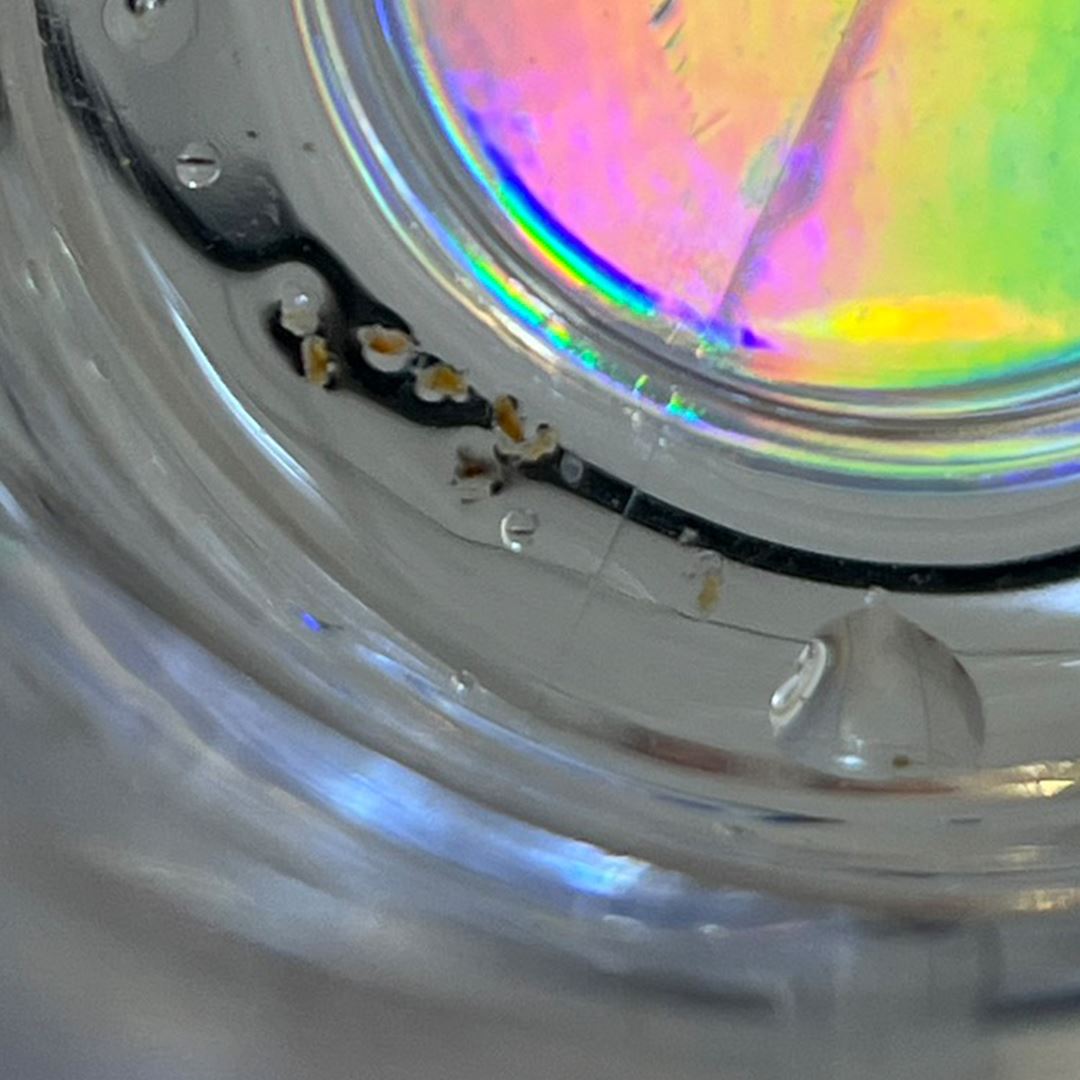 水管異味